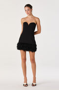 Ebba Sweetheart Feather Trim Mini Dress